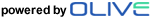Olive e-Business Pvt. Ltd.